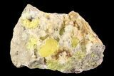 Sulfur Crystals in Matrix - Italy #93646-2